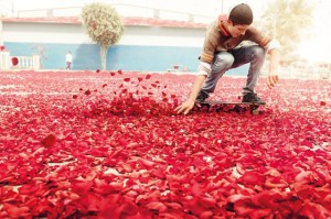 Skateboard på blomster