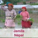 Frivilligt arbejde i Nepal - VITA