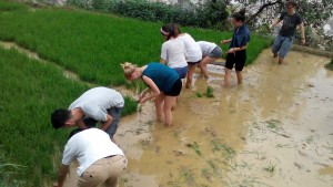 Frivilligt forløb i Vietnam med VITA i Asien