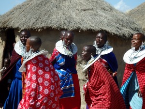 Rejs ud med VITA til Tanzania