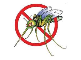 Information om Zika-virus