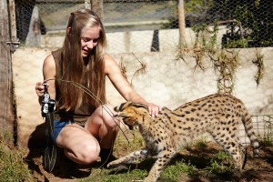Eco-frivillig projekt med dyr Globalong