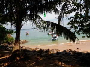 Frivilligt forløb på Sri Lanka