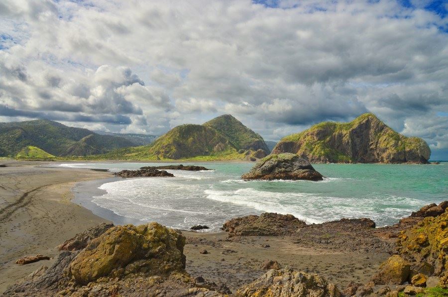 400 hvaler strandet på en strand i New Zealand