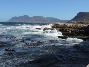 frivilligt arbejde i Sydafrika - VITA 