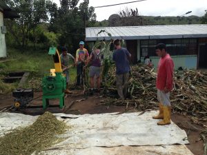 Frivilligt miljøarbejde i Ecuador