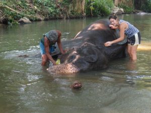 Humanitært ophold i Sri Lanka