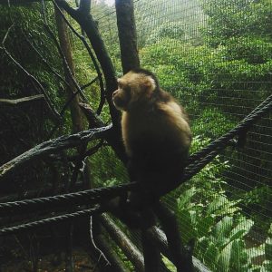 costa rica