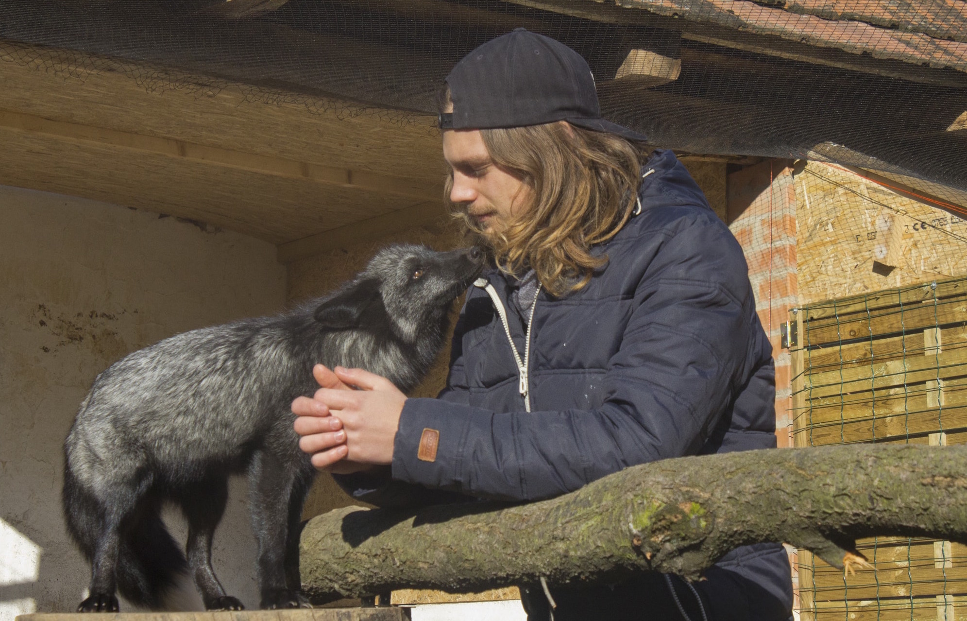 Veterinærpraktik i udlandet: en unik humanitær oplevelse