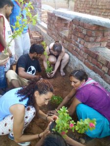 plantning