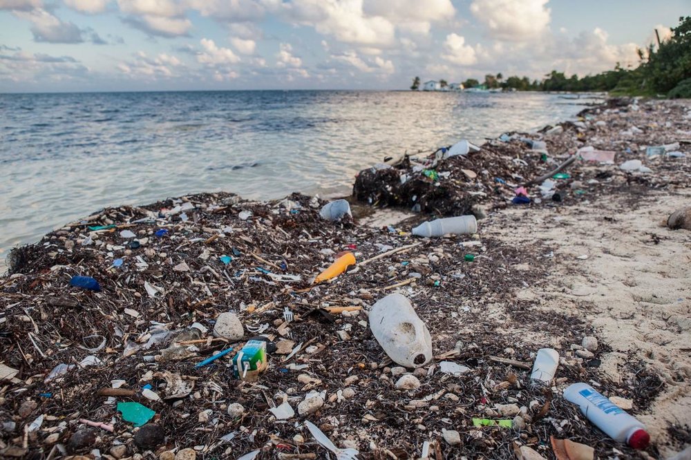 Bekæmp plastikforurening i havene gennem internationale forløb
