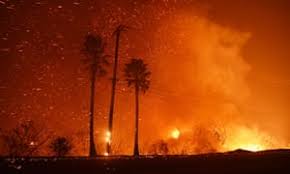 Californien ramt af «Camp Fire» – den dødeligste skovbrand i delstatens historie