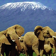 Mission Kenya