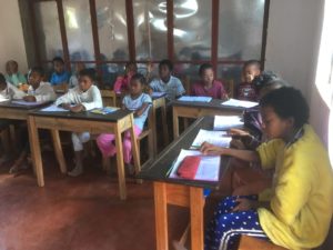 Frivilligt arbejde på Madagaskar