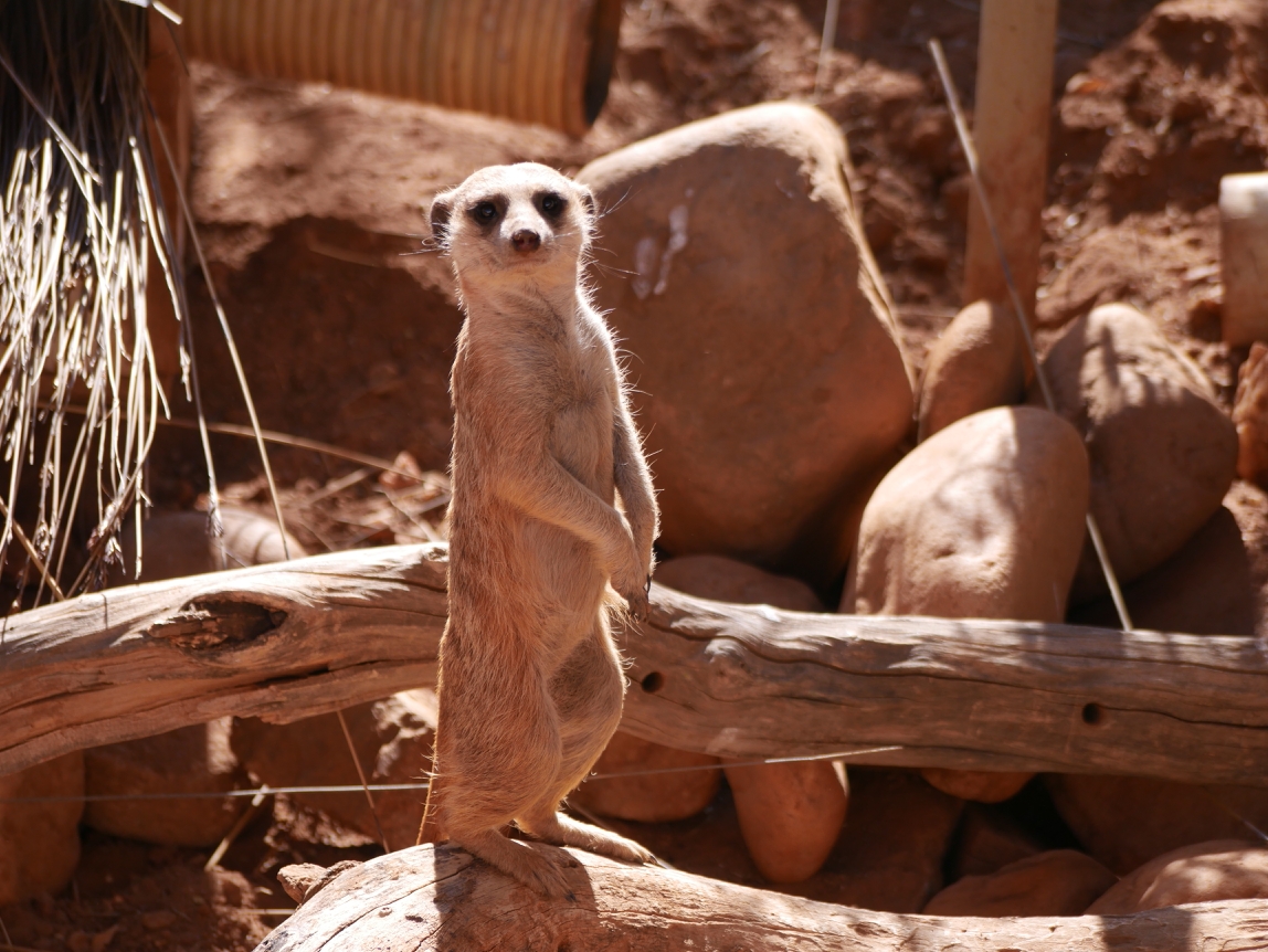 Claire og Sylvain i Namibia!