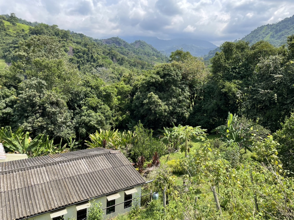 Ugens fokus: Colombia!