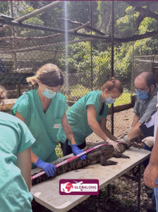 Humanitært ophold med en NGO