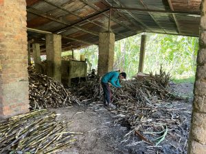 Humanitært studieforløb i Colombia