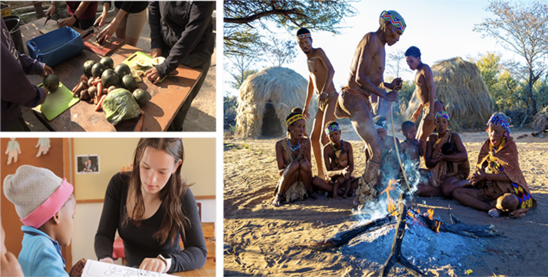 Dyrepleje og rehabilitering i Namibia: en fordybelse i natur og San-kultur