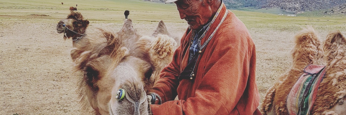 Engagér dig i Mongoliet