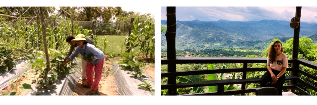 Gap year i Colombia