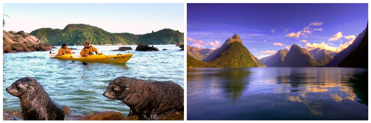 Miljøbeskyttelse i New Zealand
