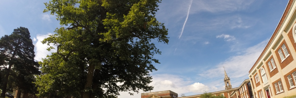sommerkursus i engelsk i London