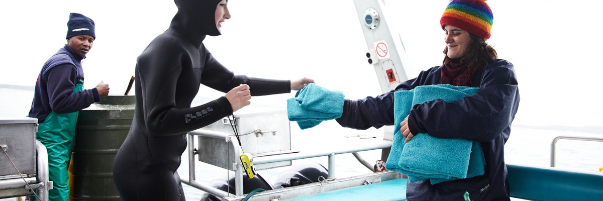Sprogophold med fuld immersion og frivilligt arbejde