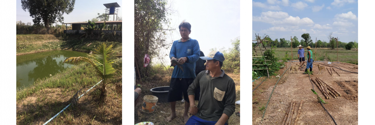 frivilligt-arbejde-i-thailand
