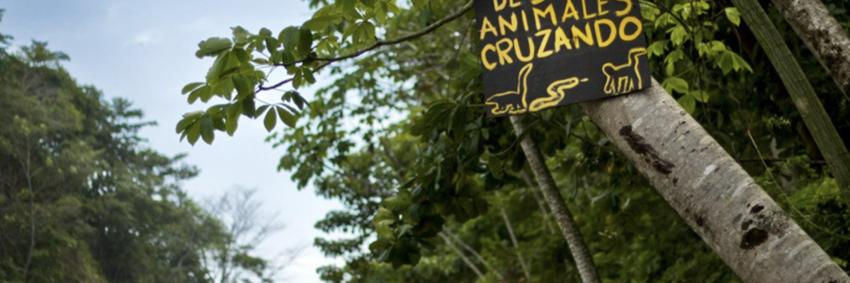 Biodiversitetsbevarelse i Costa Rica
