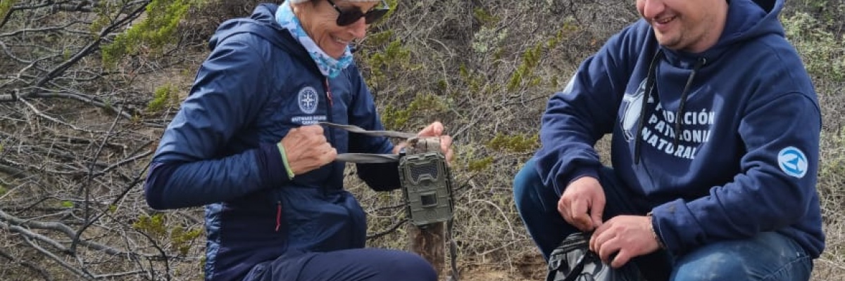 Opsætning af observationskameraer til hvaler