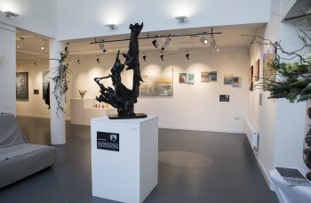 Frivilligt arbejde med kunst i Irland