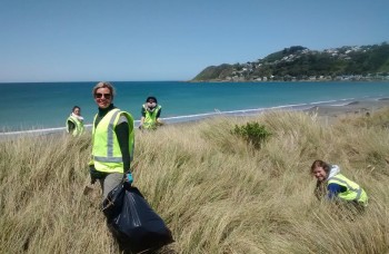 Øko-frivilligt arbejde i Wellington