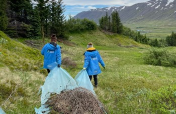 Genplantningsprojekt i Island