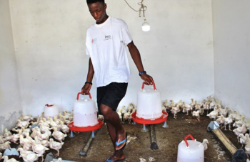 En talibé, der præsenterer sit iværksætterprojekt under et humanitært forløb