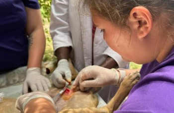 Oplysning om natur- og dyrebeskyttelse i Tanzania