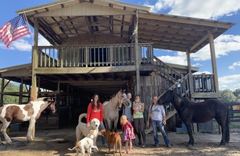 Praktikophold for veterinærstuderende i Florida