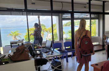 Ledelse og administration i NGO’er