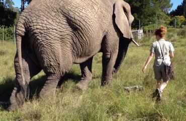 Dyreophold i Sydafrika