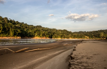 Rejse ud i den bolivianske jungle – et ophold i det ukendte