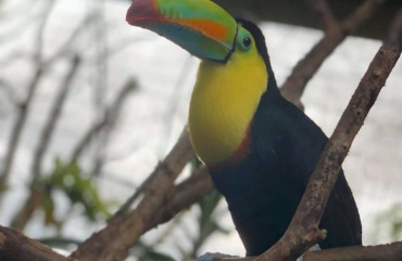 Nationalparker i Costa Rica