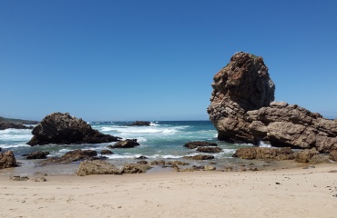 Gap year i Sydafrika
