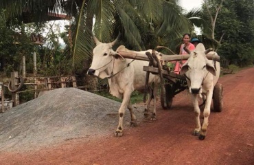 Internationalt frivilligt arbejde i Cambodia