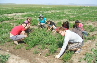 Deltager i genplantningsprojekt i Mongoliet