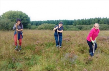 frivilligt arbejde i Irland