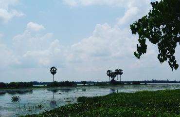 Naturbeskyttelse i Cambodja