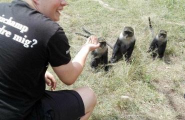Veterinærpraktik i Afrika