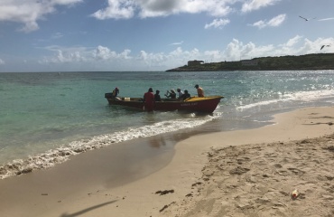 frivilligt arbejde i Jamaica