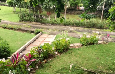 beskyttelse af Jamaicas natur