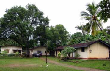 Studiepraktik i Sri Lanka